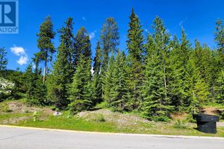 Land for Sale, 32 Douglas Crescent, Elkford, BC