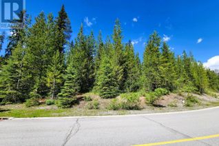 Land for Sale, 34 Douglas Crescent, Elkford, BC