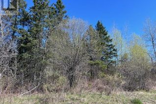 Commercial Land for Sale, Prt 1 1/2 Lt3 Con1 Beauparlant, St. Charles, ON