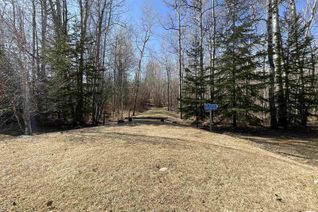 Land for Sale, 54 274022 Twp Rd 480, Rural Wetaskiwin County, AB