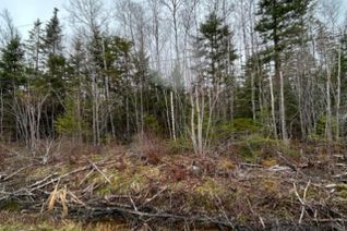 Property for Sale, Lot53b Russell Road, New Russell, NS