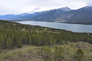 Land for Sale, Lot 1 Hardie Creek Road, Invermere, BC