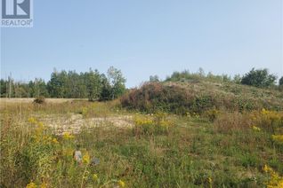 Land for Sale, 270 Young Street, Dundalk, ON