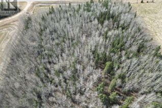 Land for Sale, Pt Of Nw 33-68-22-W4, Rural Athabasca County, AB