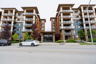 Condo Apartment for Sale, 20673 78 Avenue #421, Langley, BC