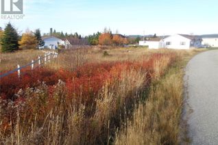 Land for Sale, 4 Oakland Drive, STEPHENVILLE CROSSING, NL