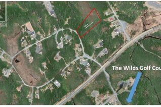 Land for Sale, Lot 3 Fraser Sub-Division, Forest Field Area /Salmonier Line, NL