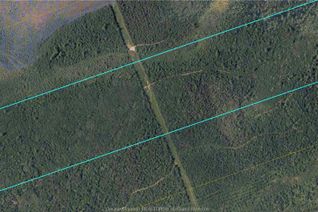 Commercial Land for Sale, Wood Lot Route 126, Acadieville, NB
