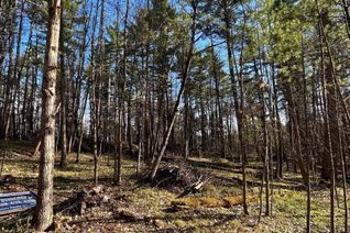 Commercial Land for Sale, 2348 Northeys Bay Road, North Kawartha, ON
