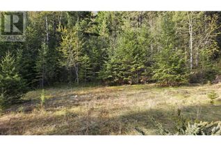 Land for Sale, 1828 6 Highway, Lumby, BC