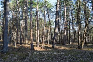 Vacant Residential Land for Sale, 2348 Northeys Bay Rd, North Kawartha, ON