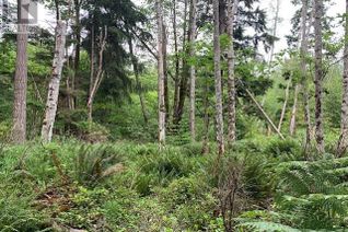 Vacant Residential Land for Sale, Lot A Wilfred Rd, Black Creek, BC