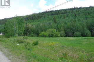 Land for Sale, 2880 Mountain View Road, McBride, BC