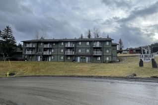 Condo Apartment for Sale, 1802 Alpine Drive #207C, Elkford, BC