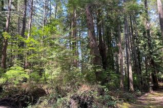 Land for Sale, 1799 Vancouver Blvd, Savary Island, BC
