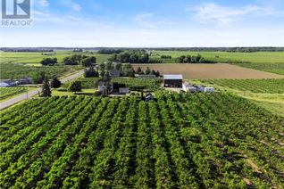 Farm for Sale, 1581 Concession 2 Road, Niagara-on-the-Lake, ON