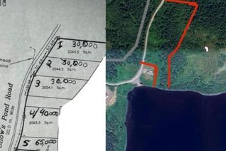 Commercial Land for Sale, Lot 1 Snow's Pond Road, North River, NL