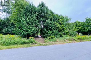 Land for Sale, Lot 34 Cockburn Street, Kawartha Lakes (Norland), ON