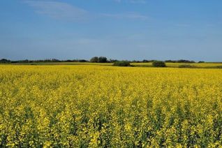 Commercial Farm for Sale, 1/2 Section Rm Of Orkney, Orkney Rm No. 244, SK