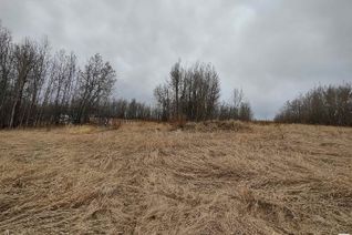 Commercial Land for Sale, .7 Km North Of Rr 12 & Twp 582, Rural Westlock County, AB
