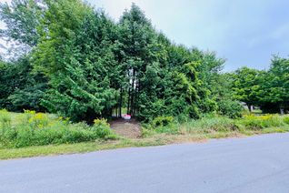 Land for Sale, Lot 34 Cockburn St, Kawartha Lakes, ON