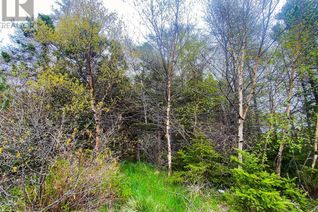 Commercial Land for Sale, 17 Newfound Lane, Bay Roberts, NL