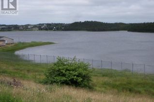 Commercial Land for Sale, Junction Pond #LOT 2, WHITBOURNE, NL