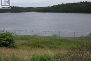 Land for Sale, Junction Pond #LOT 1, WHITBOURNE, NL