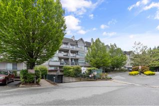 Condo Apartment for Sale, 33718 King Road #113, Abbotsford, BC