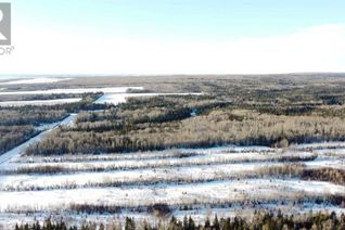 Property for Sale, Sw 22-84-3-W6 Rge Rd 33, Rural Clear Hills County, AB