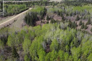 Property for Sale, Sw 22-84-3-W6 Rge Rd 33, Rural Clear Hills County, AB