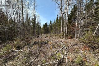 Vacant Residential Land for Sale, Lot 23-2 California Rd, Galloway, NB