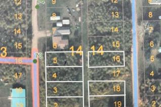 Commercial Land for Sale, 5303 53 Street, Mirror, AB