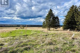 Vacant Residential Land for Sale, 46407 Homestead Rd, Second North River, NB