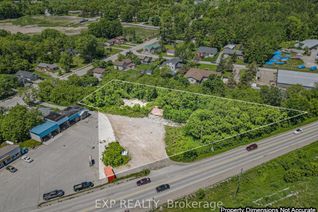 Commercial Land for Sale, 232 Main St, Kawartha Lakes, ON