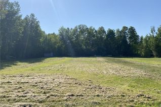 Vacant Residential Land for Sale, Lot 10 Pinewood Blvd, Kawartha Lakes, ON