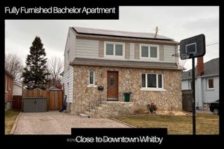 Bachelor/Studio Apartment for Rent, 208 St Lawrence St, Whitby, ON