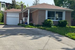 Bungalow for Rent, 465 Lynett Cres #Main, Richmond Hill, ON