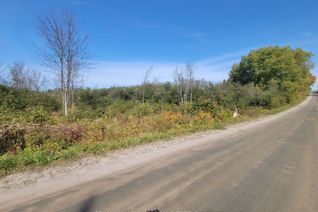 Vacant Residential Land for Sale, 237 Victoria St, Magnetawan, ON