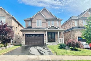 Property for Rent, 163 Petticoat Rd #Bsmt, Vaughan, ON