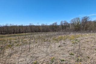 Vacant Residential Land for Sale, 254 Long Reach Rd, Brighton, ON
