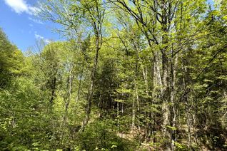 Land for Sale, 0 Salmon Trout Lake Rd, Hastings Highlands, ON