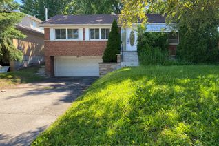 Property for Rent, 239 Tampico Rd, Richmond Hill, ON