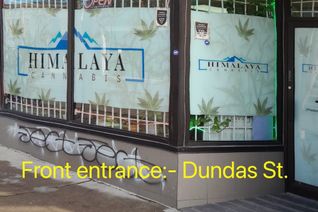 Other Business for Sale, 871 Dundas St W, Toronto, ON