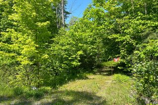 Vacant Residential Land for Sale, 21 Riverside Dr, Trent Hills, ON