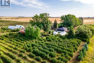Farm for Sale, 30352 Range Road 20, Rural Mountain View County, AB