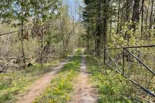 Vacant Residential Land for Sale, 0 Bessie Ave N, Kawartha Lakes, ON