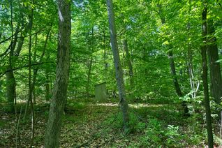 Vacant Residential Land for Sale, 20 Riverside Dr, Trent Hills, ON