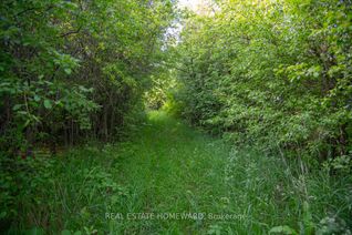 Vacant Residential Land for Sale, 00 Swamp College Rd, Prince Edward County, ON