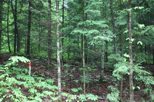 Vacant Residential Land for Sale, 00 Quarry Rd, Bancroft, ON